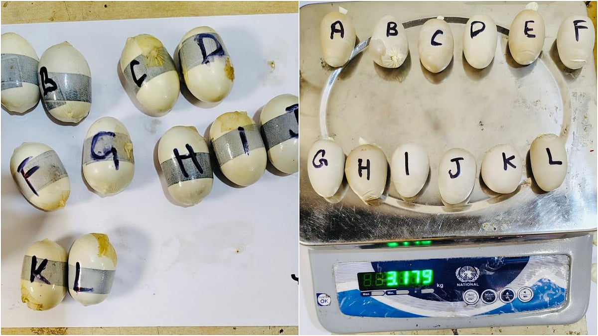 Mumbai Crime: DRI Seizes 3.05 Kg Gold Worth ₹3.89 Crore Concealed In Water Tumbler At CSMI Airport