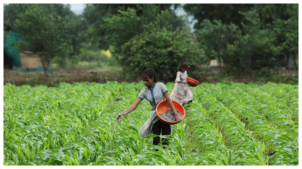 Fertiliser Subsidy Bill Set To Hit ₹1.9 Lakh Crore In FY27