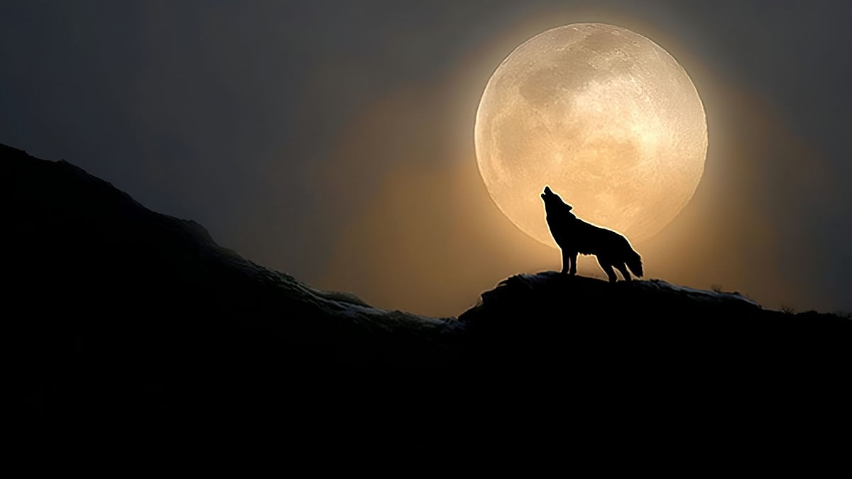 First Full Moon Of 2026 To Light Up The Sky This Weekend: What Does 'Wolf Moon' Signify? 
