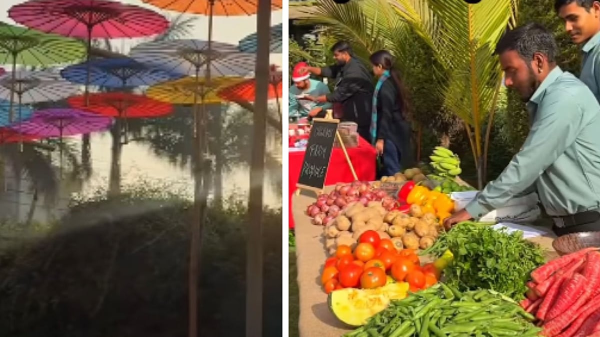 Bhopal News: City Embraces Slow Sundays, Organic Breakfast, Farm-Fresh Vegetables & Artwork With...