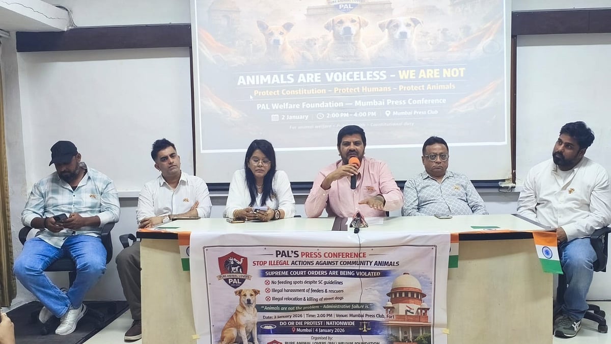 Animal Groups Accuse Civic Bodies Of Selective Supreme Court Compliance Ahead Of ‘Do Or Die’...