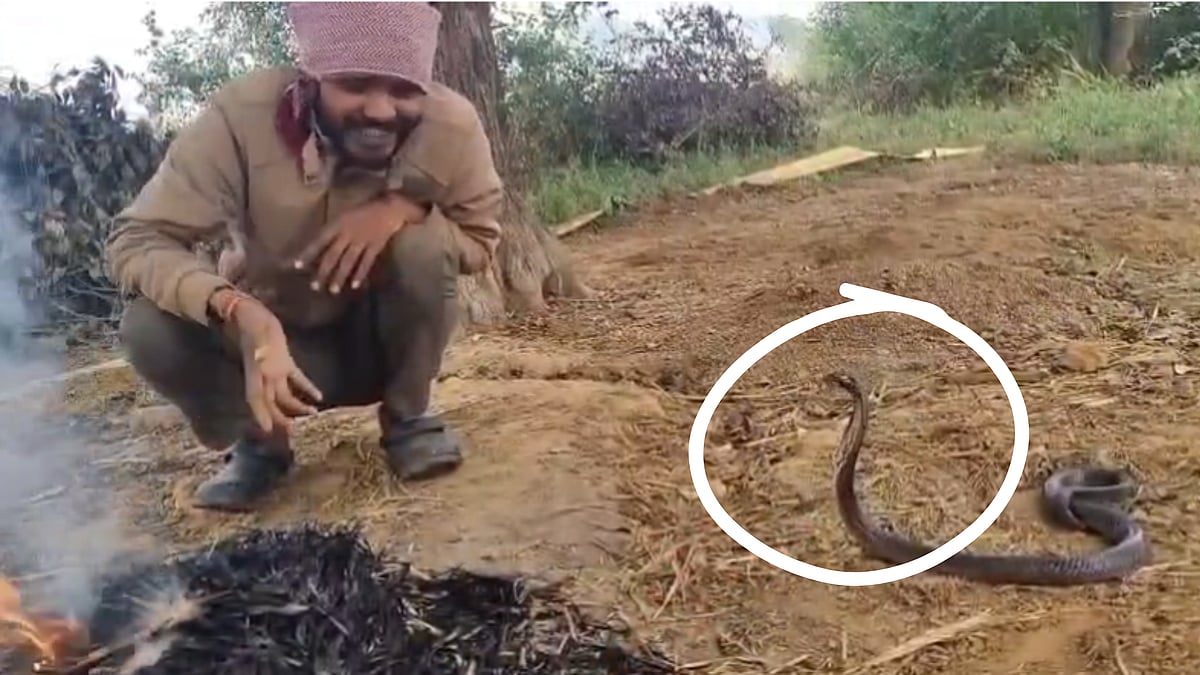 MP News: Man Caught In Hilarious Conversation With Snake In Chhatarpur; Video Viral
