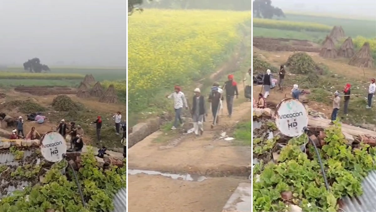 MP News: Dalit Family Attacked With Guns, Sticks For Objecting To Cattle Grazing In Field; 5 Injured...