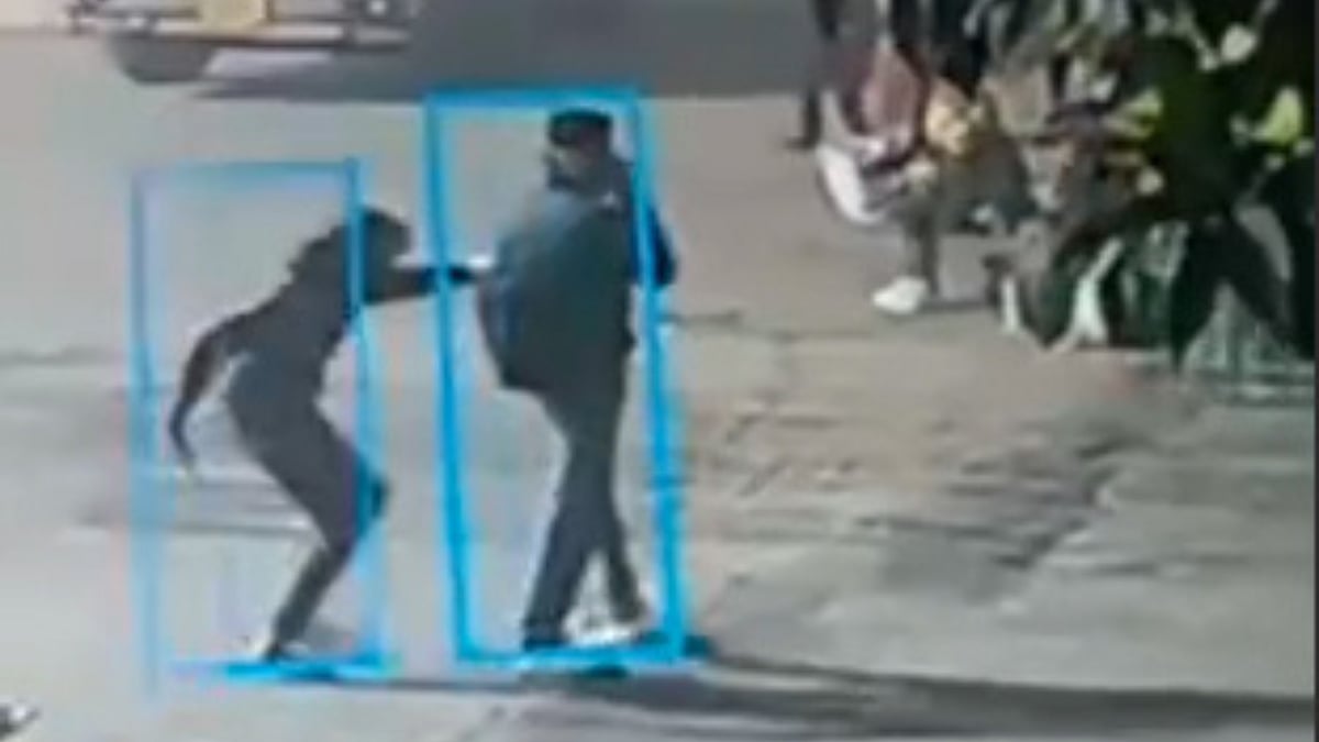 MP News: Man Stabbed At Ratlam Railway Station In Indore