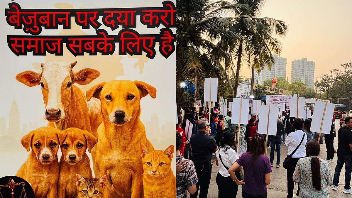 Animal Activists Protest In Mumbai Against Removal of Stray Dogs Ahead of SC Hearing - VIDEO