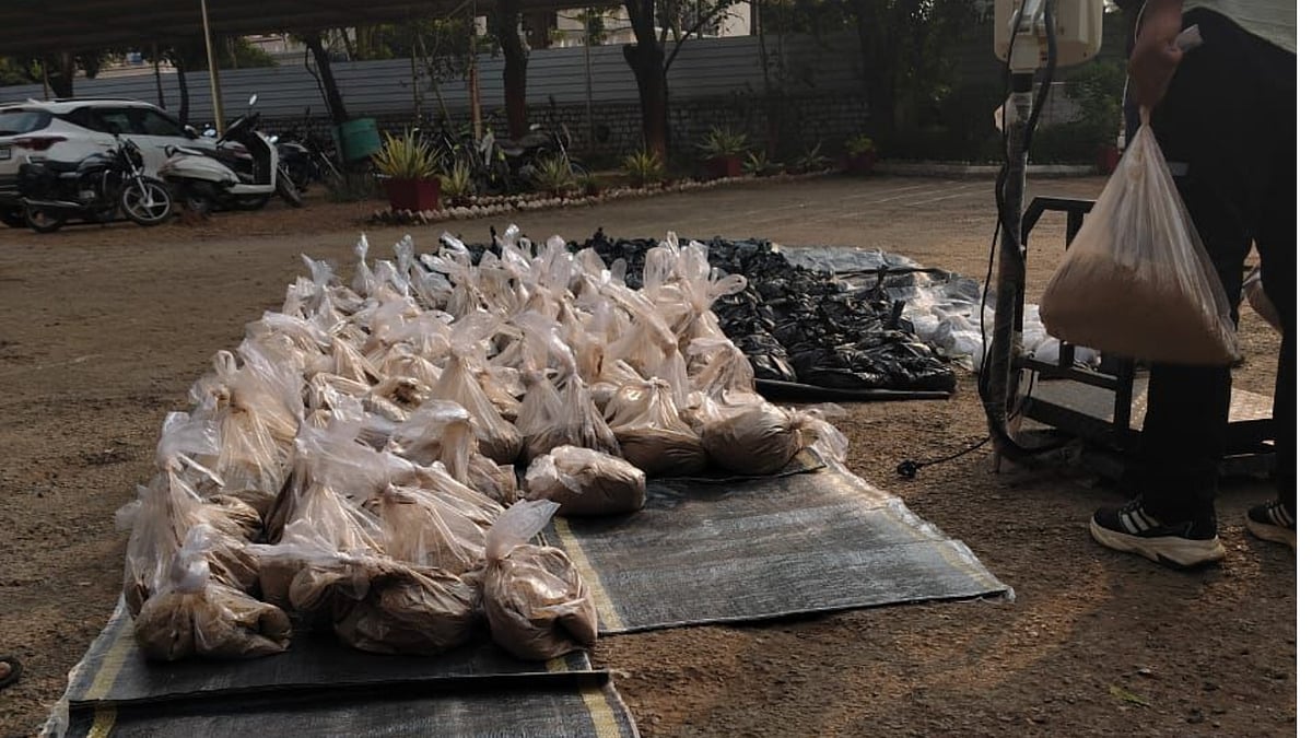 MP NEWS: CBN, Neemuch Recovers 337.88 Kg Of Poppy Straw