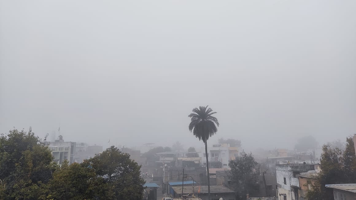 Madhya Pradesh January 4, 2026, Weather Updates: Dense Fog Hits State, Visibility Drops To 50...