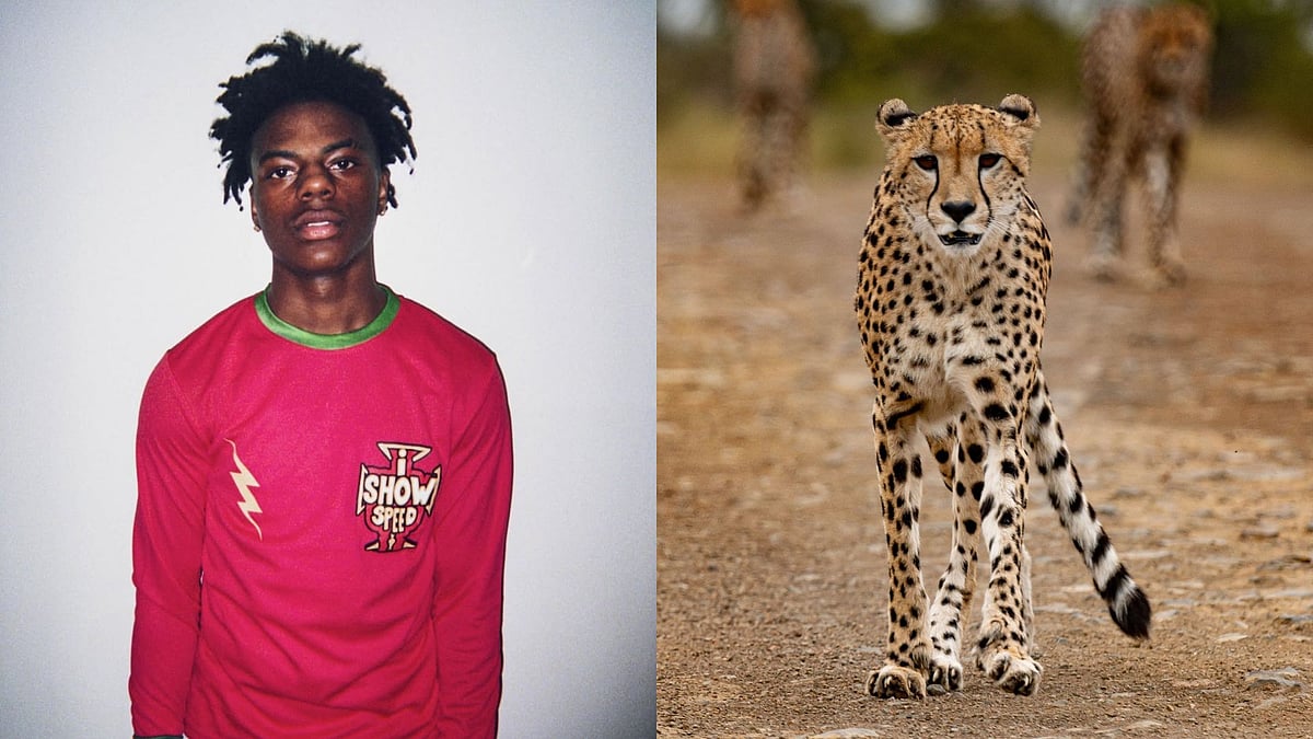 YouTuber IShowSpeed Competes With A Cheetah In Shocking Video: Guess Who Won The Race? 