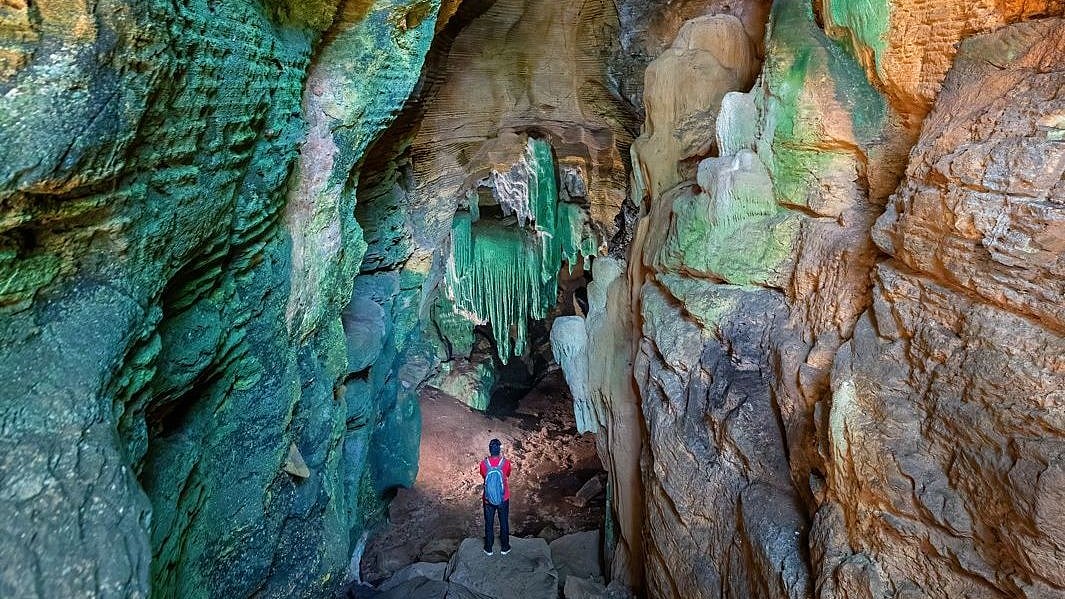 Chhattisgarh Unveils Rare 'Green Cave’ In Kanger Valley National Park