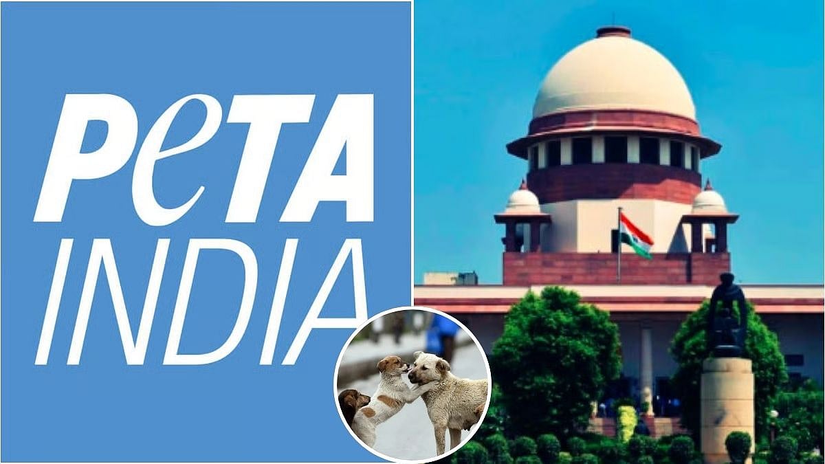 PETA India Files Suggestion To Supreme Court For Scientific Stray Animal Population Management 