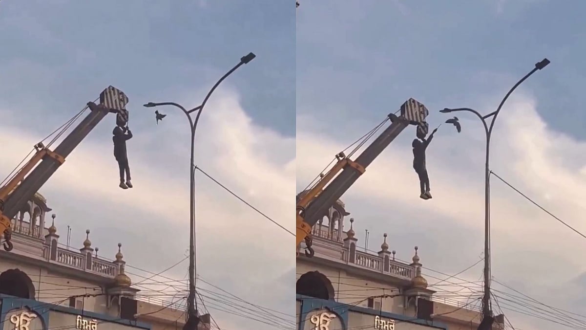 Punjab Man Hangs On Crane, Risks Life To Rescue Trapped Bird: Viral Video Melts Internet 