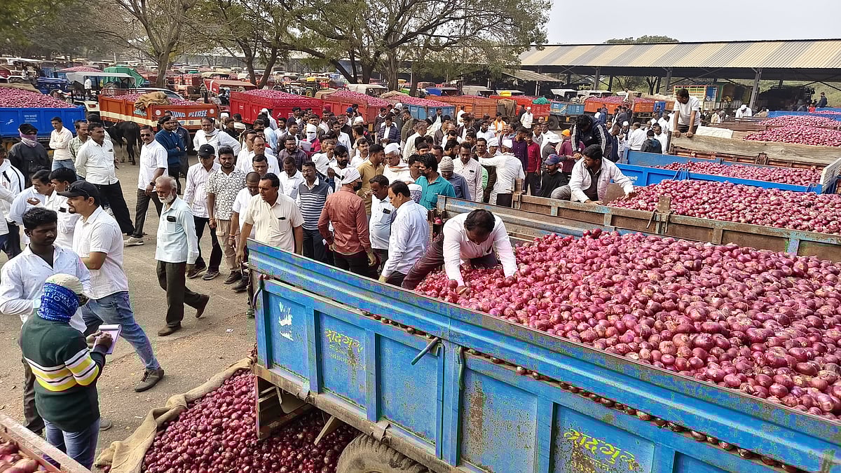 Onion Prices At Lasalgaon APMC Crash By ₹1,000 Per Quintal In 15 Days