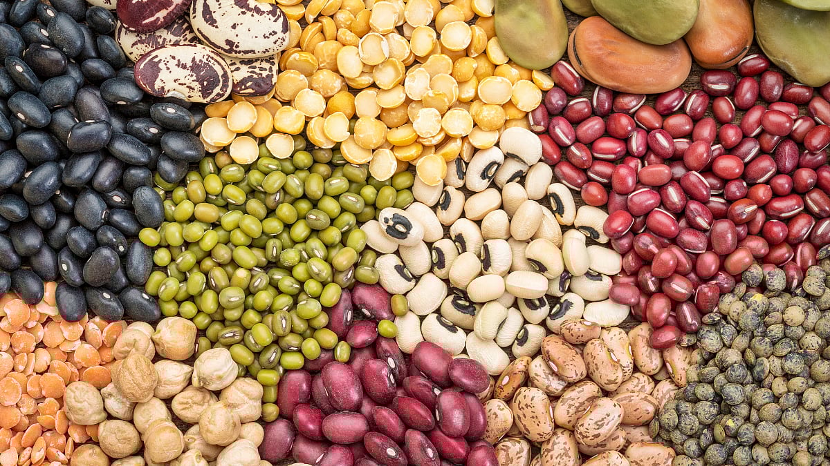 National Bean Day 2026: From Moong To Rajma, Celebrating The Ayurvedic Power Of These Legumes