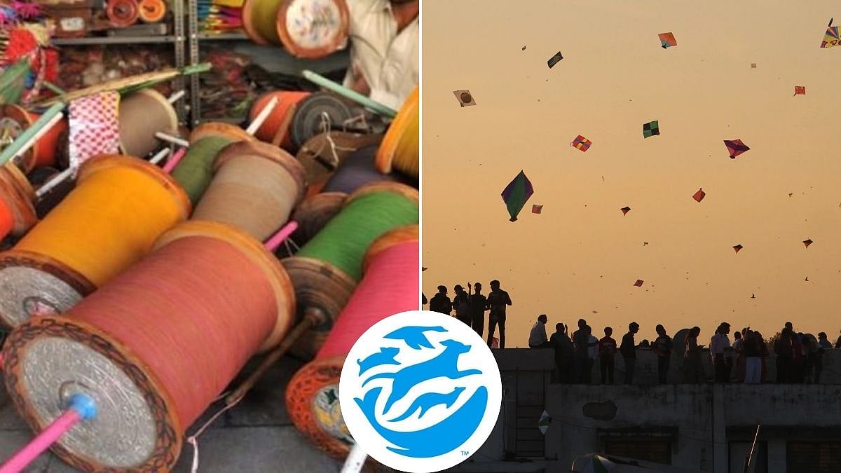 Makar Sankranti 2026: Humane World For Animals India Urges Citizens To Avoid Illegal Glass-Coated Manja