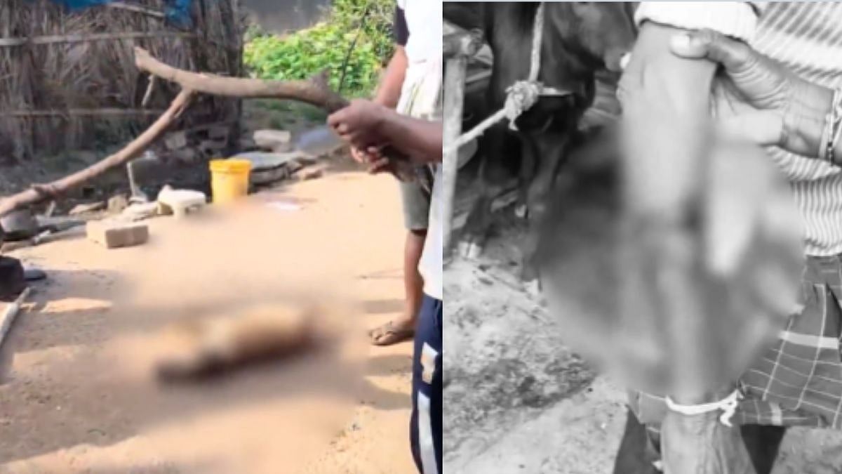 AP Shocker: Pet Dog Brutally Beaten To Death By Villagers In Sri Sathya Sai District After It...