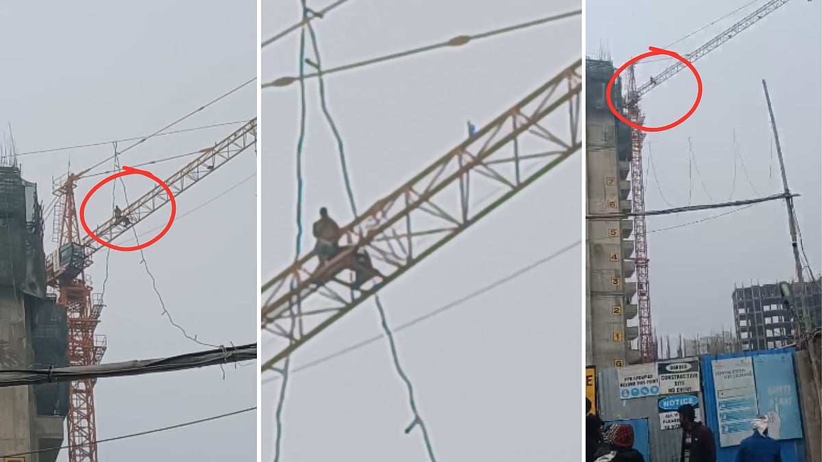 MP News: Labourer Climbs Tower Crane Over Unpaid Salary, Threatens Suicide In Gwalior; Rescued After...