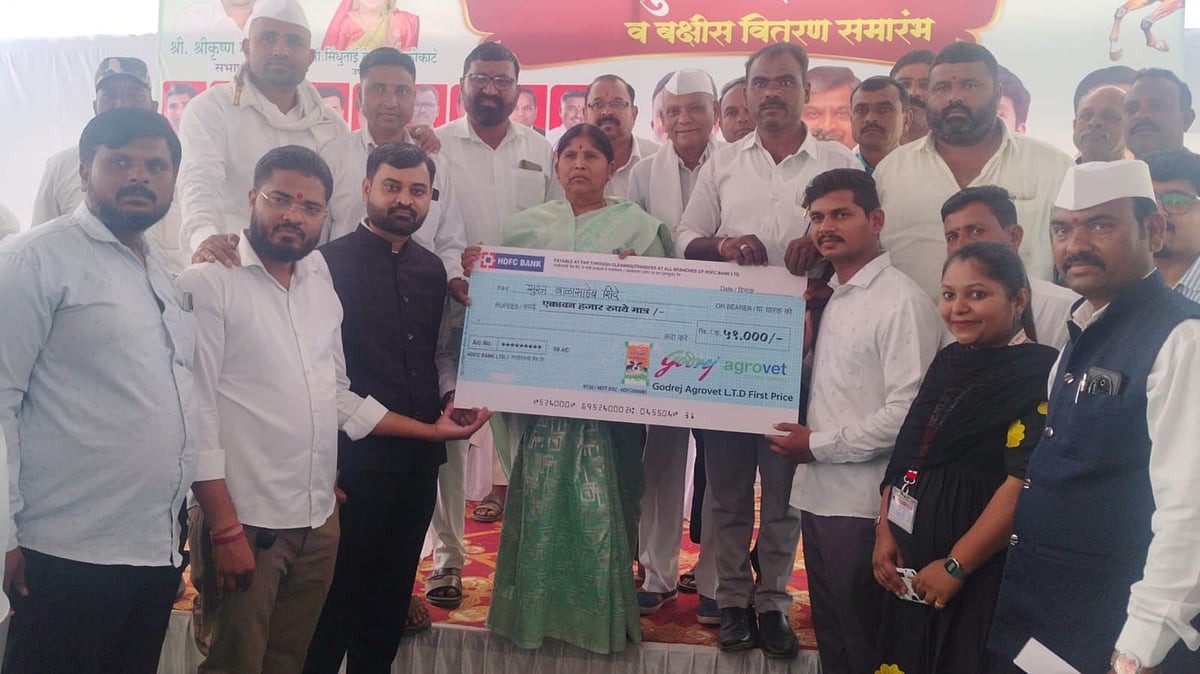 Sangamner Farmer's Cows Produce Over 42 Litres Each, Win Milking Contest In Nashik