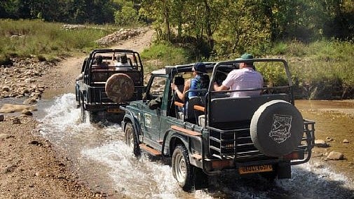 Uttarakhand News: No Mobile Phones On Corbett Safaris As Park Enforces Supreme Court Order 