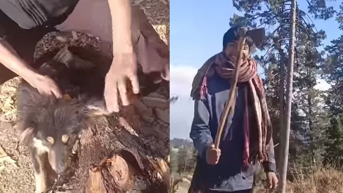 'Psychopath, Beyond Evil': Kashmiri Boys Cut-Off Dog's Ear With Axe, Film It For Reel; Netizens Enraged 