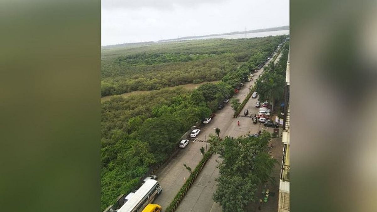 Residents Of Navi Mumbai Launch Initiative To Protect Mangroves, Wetlands And Lakes
