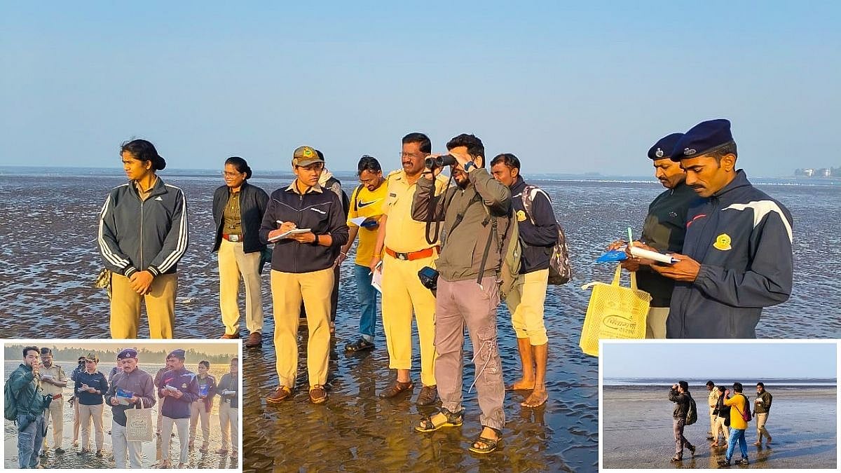 Asian Waterbird Census 2026: BNHS Records 809 Shorebirds At Akshi Beach In Alibaug 