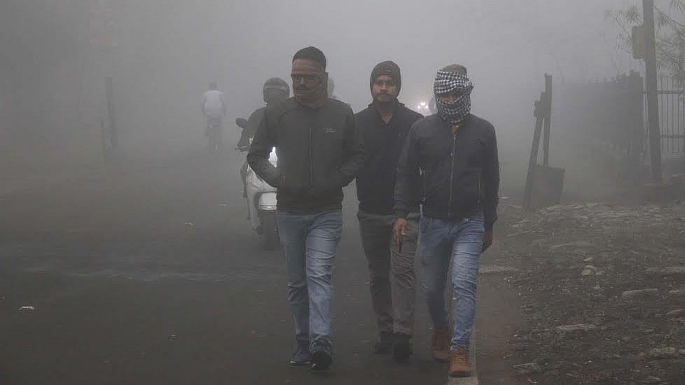 Bengaluru Weather: City Experiences Dip In Temperatures As Cold Wave Intensifies; IMD Predicts Light Rainfall In Upcoming Days 