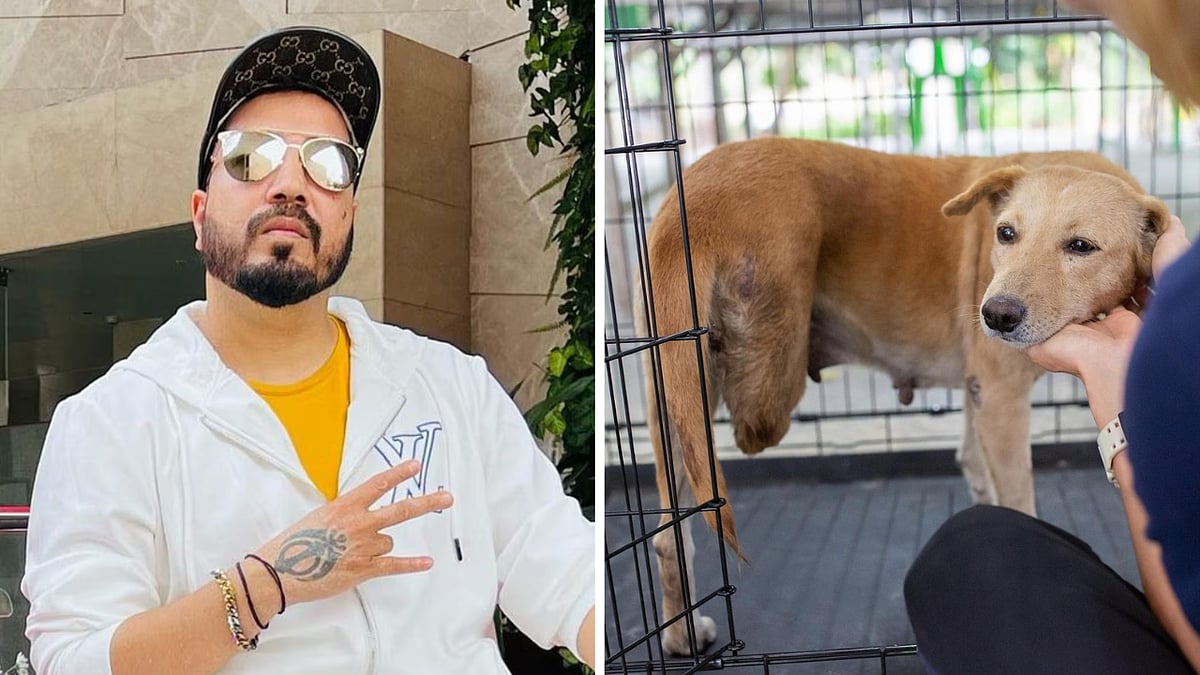 'Willing To Donate 10 Acres Exclusively': Mika Singh Appeals To Supreme Court To Protect Dog Welfare