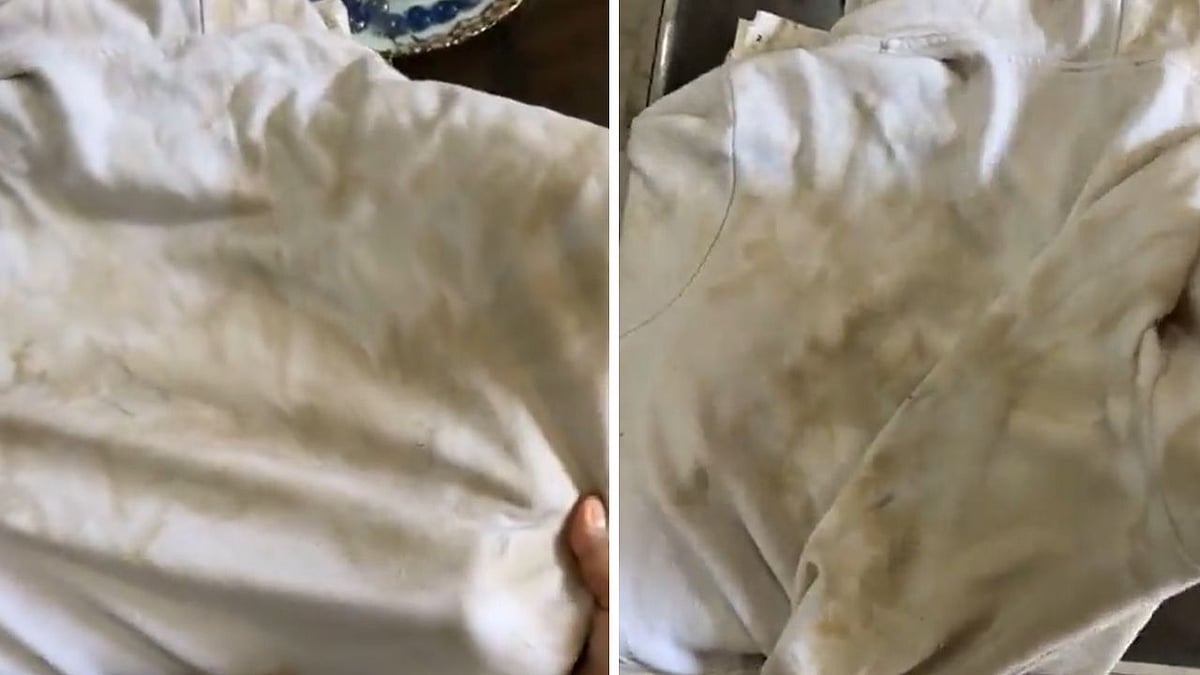 'Water So Clean… Clothes Glowing Like White Diamonds': Delhi Man Thanks CM Rekha Gupta, Urges...