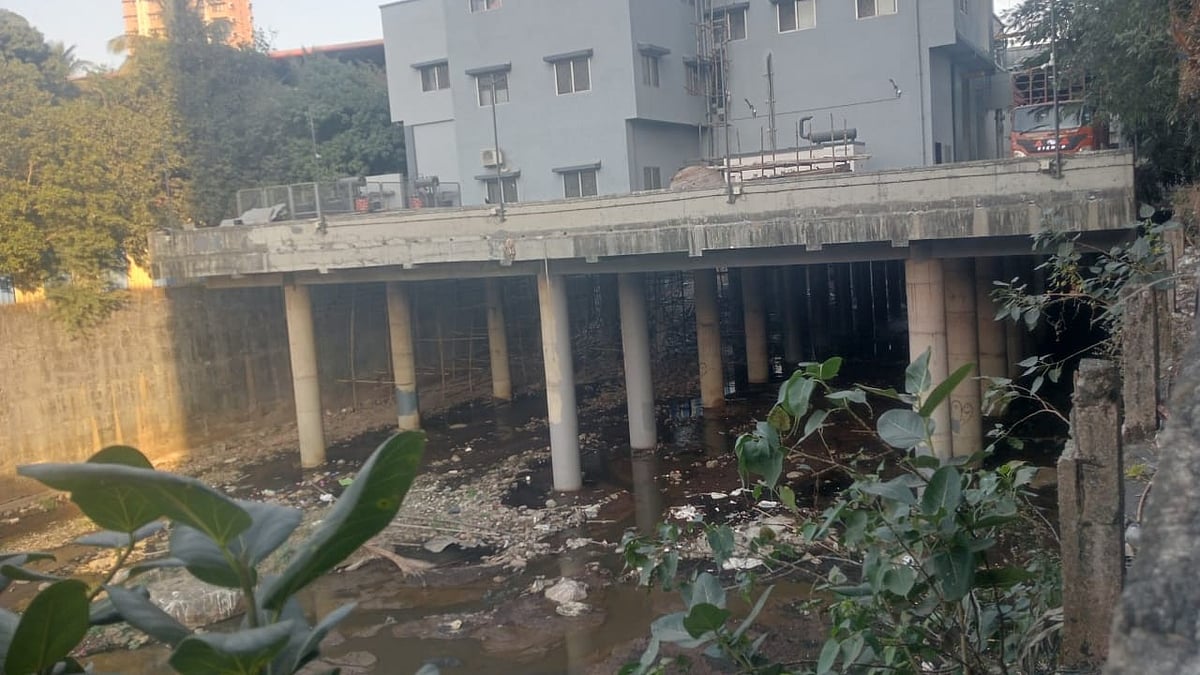 From Polluted River To Flooded Roads: Dahisar’s R-North Ward In Distress 