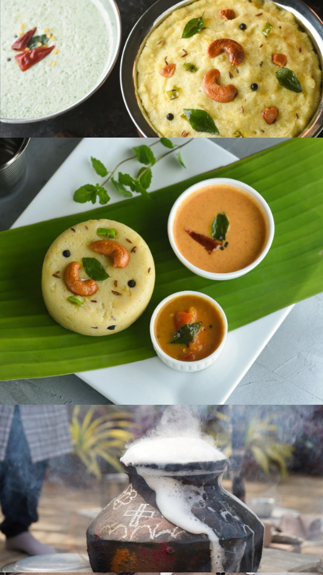 Pongal 2026: Must-Have Dishes On This Auspicious Four-Day Harvest Festival