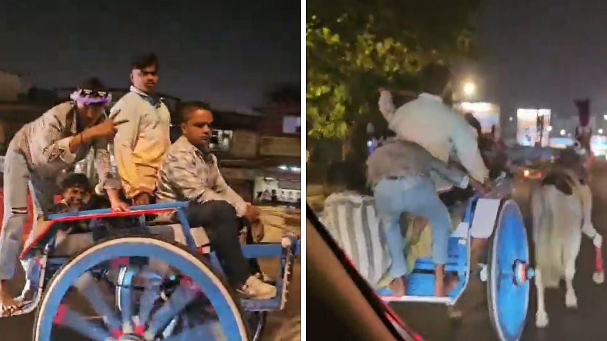 Mumbai Viral Video: Illegal Horse Cart Race On Western Express Highway's Vakola Flyover Sparks Outrage, Traffic Police Promise Action 