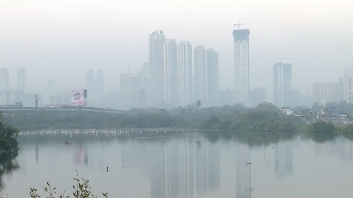 Mumbai Weather Update For Jan 12, 2026: City Sees Chill Morning With Haze, Air Quality Improves Slightly But Stays In Poor Range At 164 