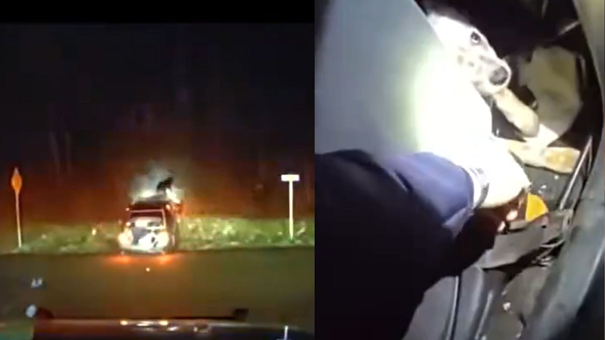 Dog Thrown From Car Windshield Lands On Feet During High-Speed Police Chase - Viral Video 