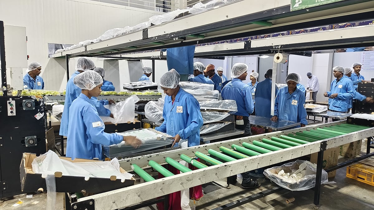 First Grape Shipment Of Season Leaves Nashik For Netherlands, Germany