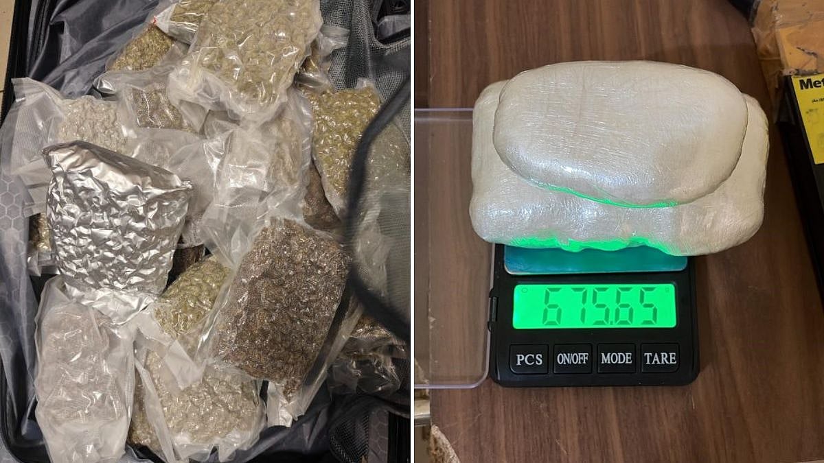 Mumbai News: DRI Seizes Drugs Worth ₹17.55 Crore In Multi-City Crackdown, 10 Arrested In Three Days 