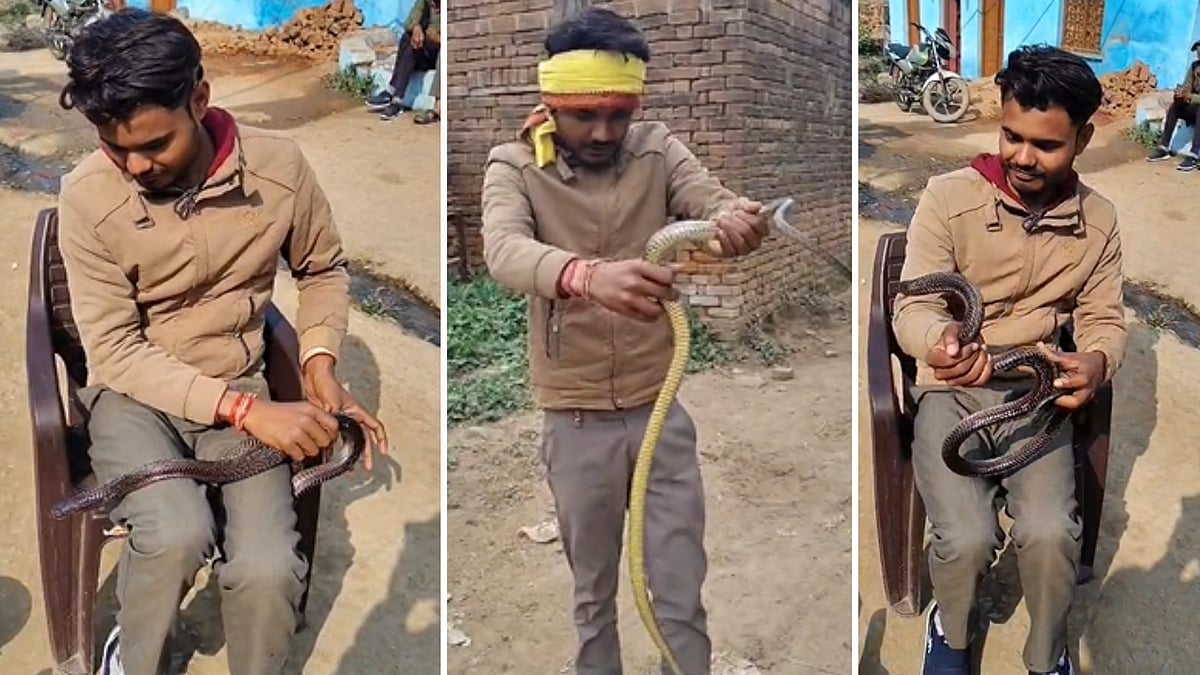 MP News: BSc Student Talks To Cobra, Holds It In His Lap For Nearly An Hour In MP's Bhind