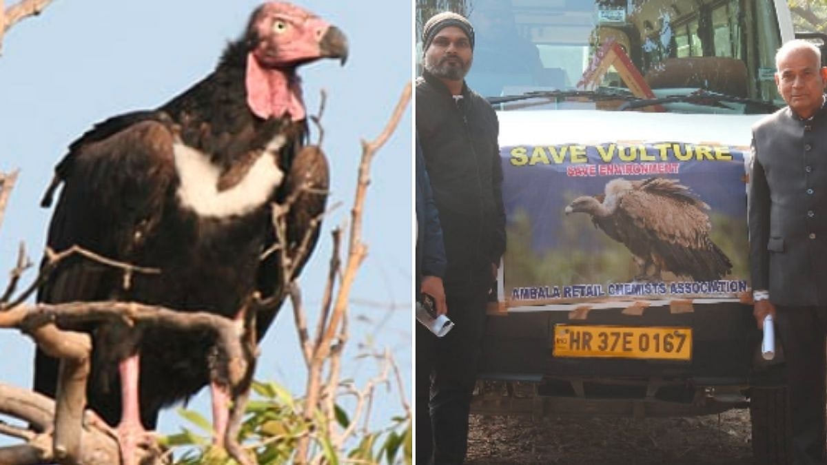 BNHS Ropes In Chemists To Curb Use Of Harmful Drugs Driving India’s Vultures To Near Extinction 