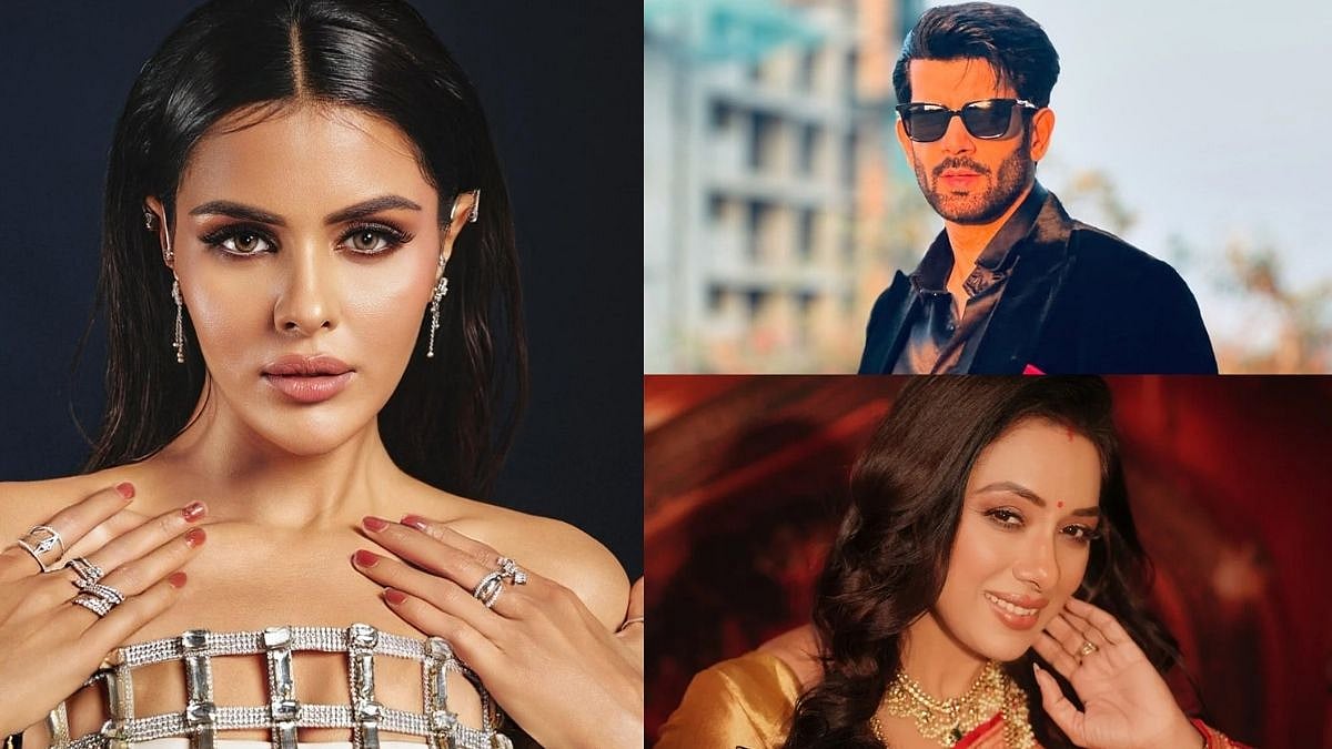 Top 10 Most Popular Actors Week 2 (2026): Naagin 7's Priyanka Chahar Choudhary & Namik Paul Dominate As Rupali Ganguly Sees A Dip 
