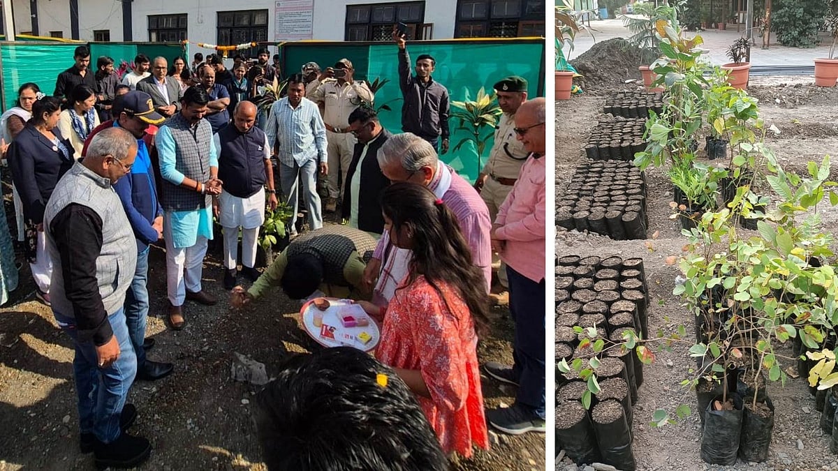 Indore News: RET Species Nursery Launched Under Forest Initiative