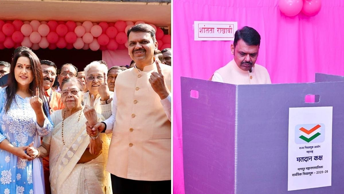 'EC Should Look Into This': Maharashtra CM Devendra Fadnavis Reacts As Raj Thackeray & Voters Allege Marker Ink Can Be Easily Removed - VIDEO 