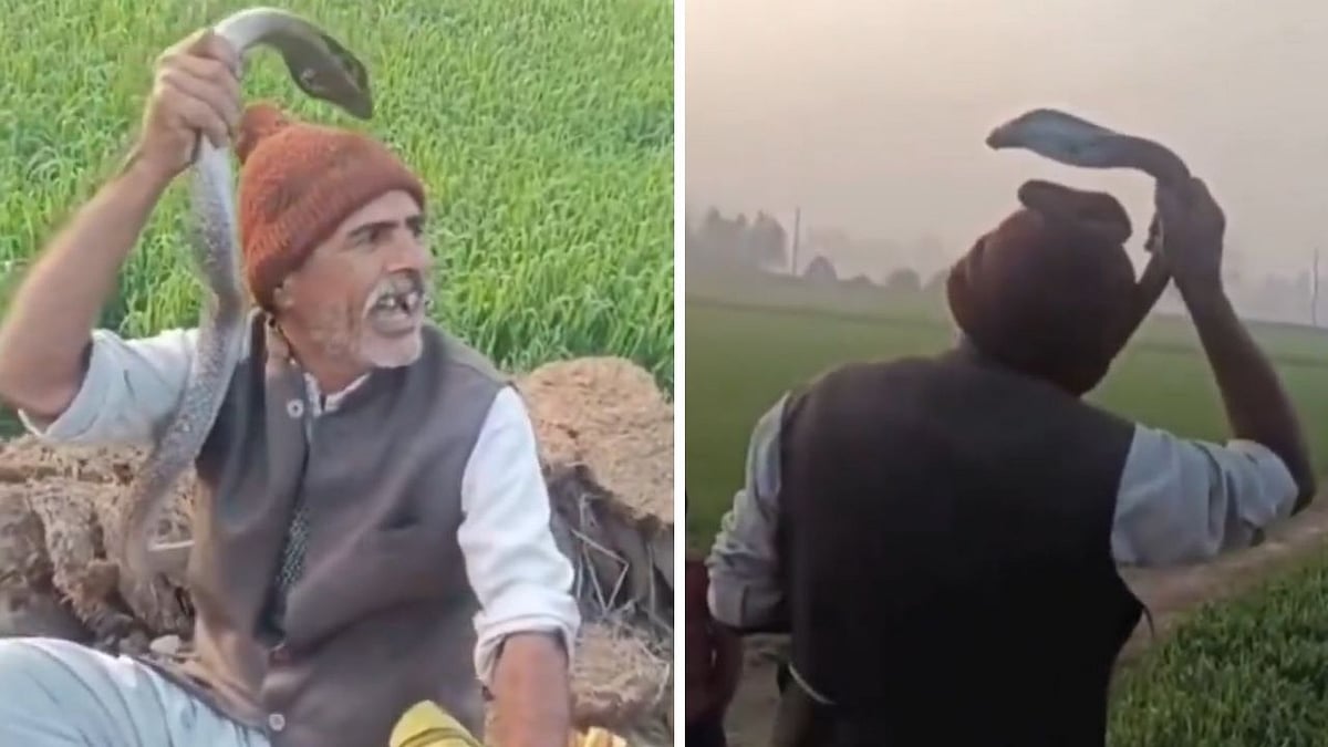 'Aisa Koi Veer Hai Duniya Mein': 50-Year-Old Man Brags After Catching Venomous Cobra In UP’s...