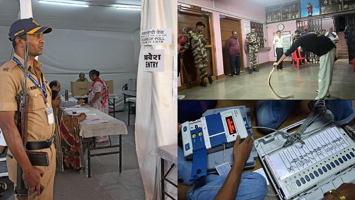 From Bogus Voting Claims To Cobra At Booth, Polling For 29 Maharashtra Municipal Corporations Ends Amid Disturbances 