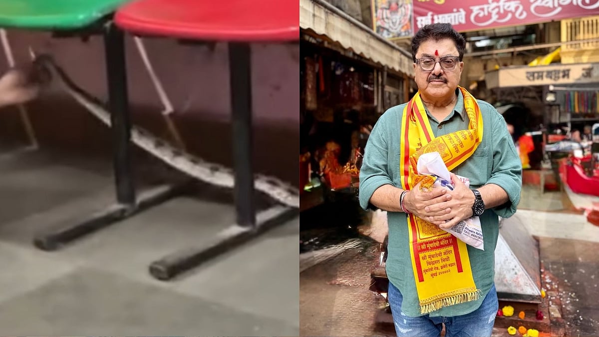 'Mahadev Has Also Come To Vote': Ashok Pandit On Venomous Snake Being Found At Chembur Polling...