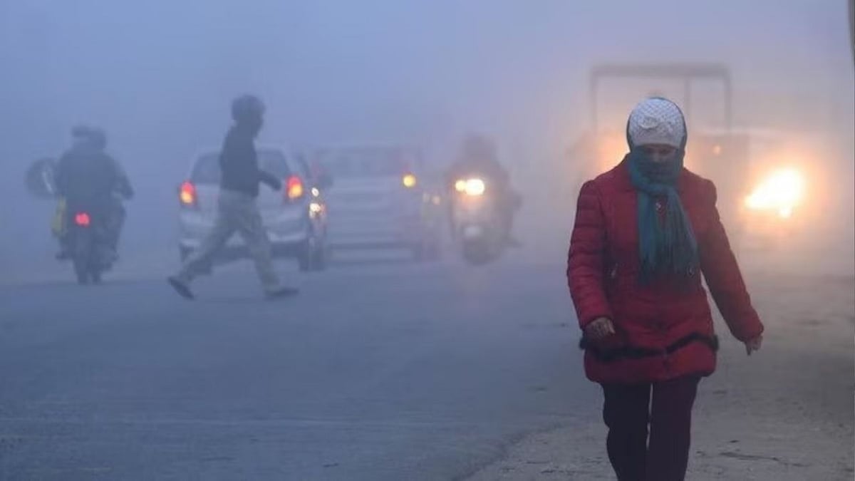Madhya Pradesh January 17, 2025, Weather Update: Cold Nights Stay, Mild Day Relief Expected In...