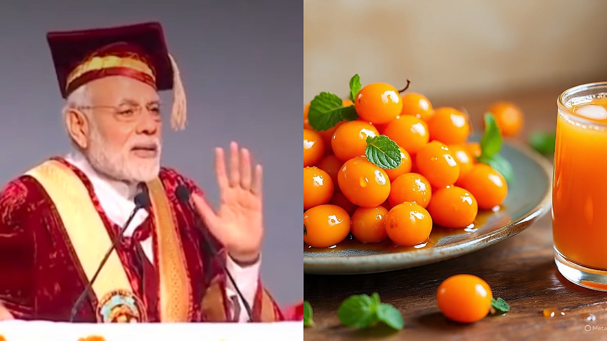 What Is Sea Buckthorn? PM Modi Recommended Fruit, Also Known As 'Sanjivani Booti' Which Cured Laxman In Ramayana 