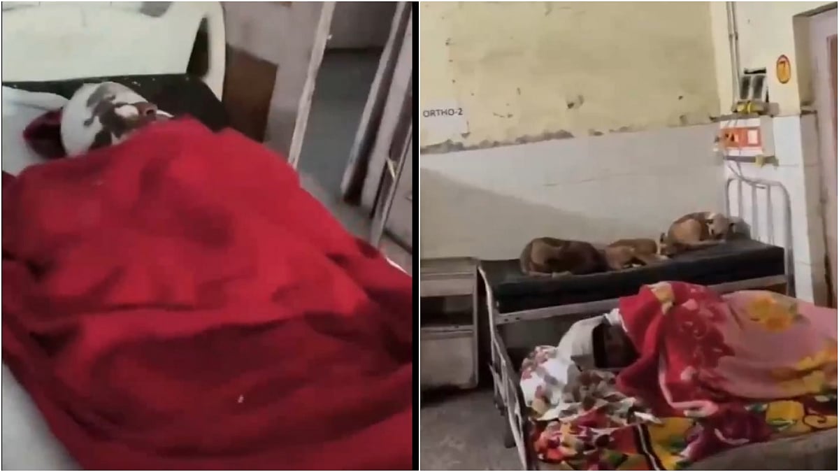 UP Medical Apathy: After Rats Seen Scurrying Inside Gonda Hospital Ward, New Video Showing Dogs Sleeping On Beds Sparks Hygiene Concerns 