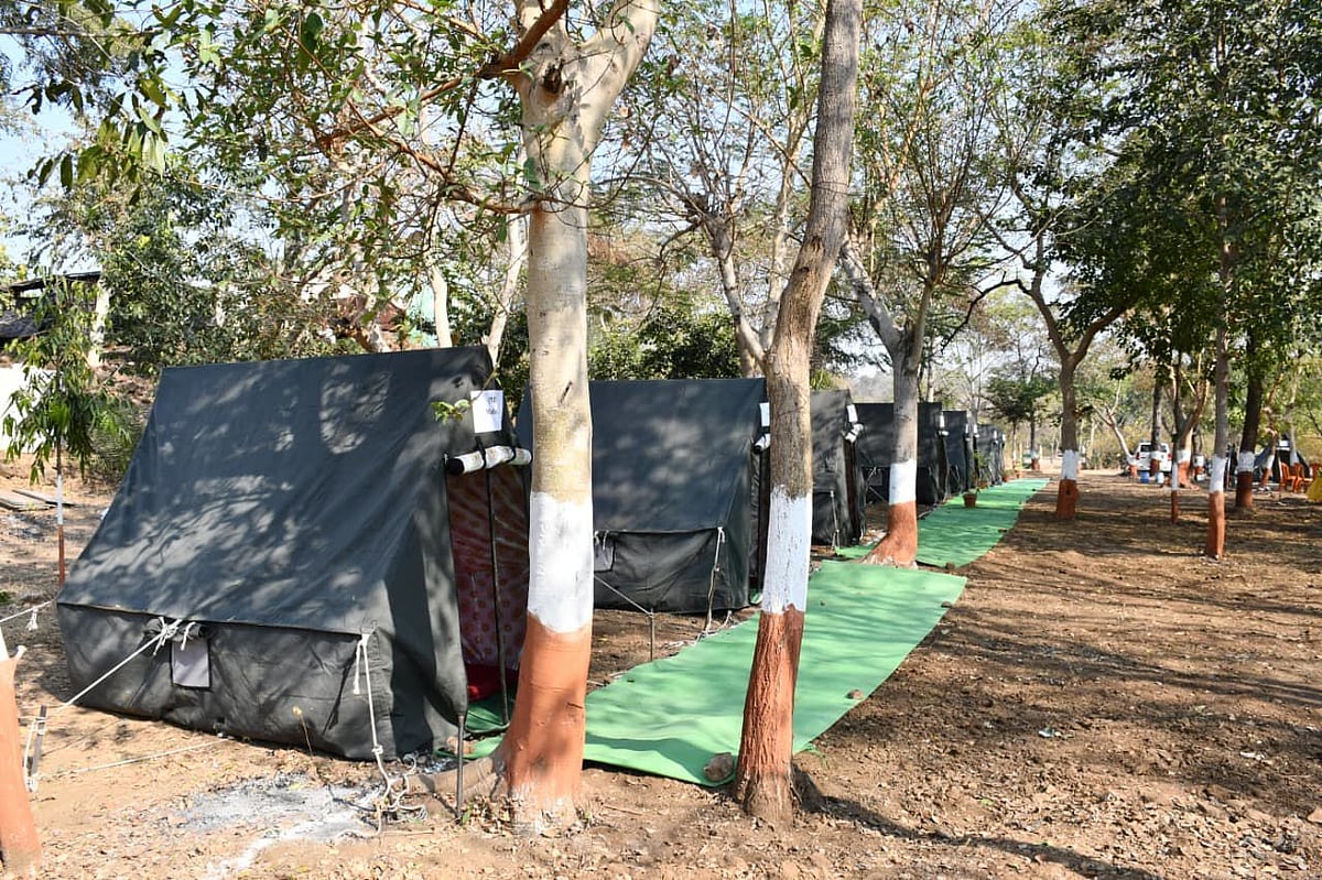 Jalgaon's Satpura Nature Experience Festival 2026 Wins Hearts; Tourists Embrace Tribal Culture, Wildlife Safari