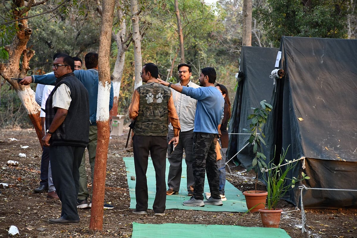 Jalgaon's Satpura Nature Experience Festival 2026 Wins Hearts; Tourists Embrace Tribal Culture, Wildlife Safari