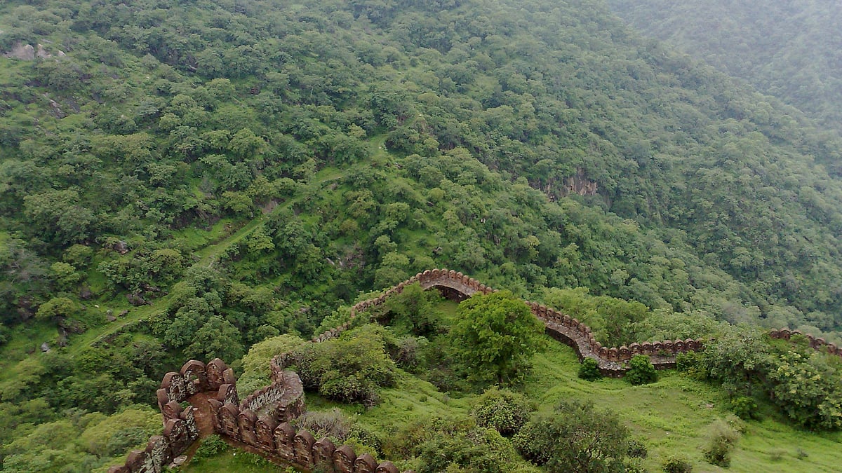 Rajasthan News: Centre Notifies Eco-Sensitive Zone Around Kumbhalgarh Wildlife Sanctuary 