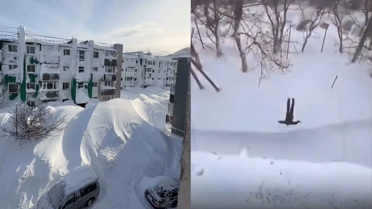 Watch: Residents Jump Out Of High-Rise Building Only To Have A Snow Landing; Visuals From Russia's Kamchatka Go Viral 